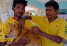 Over 5000 owner dogs vaccinated,Rabies Mukt Goa a success!